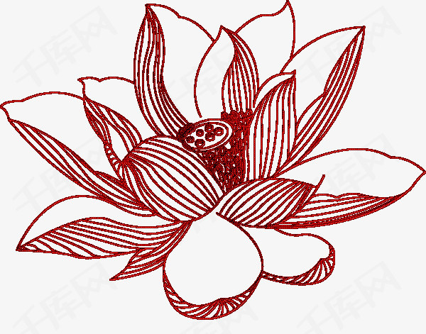 手绘荷花荷花手绘红色画