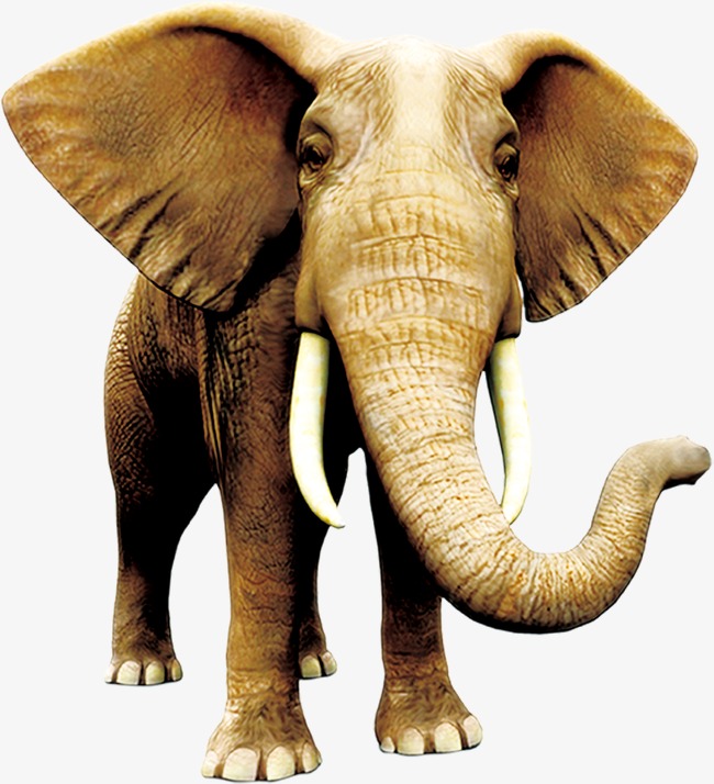 童趣自然野生动物大象装饰图案素材图片免费下载_高清