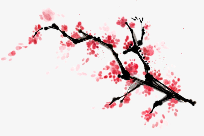 一枝梅花图片