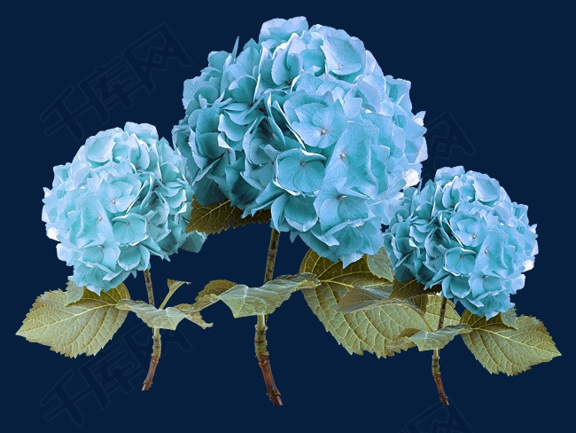 球花绣蓝色素材图片免费下载_工程装饰图案p洛阳千景园林设计高清有限公司图片