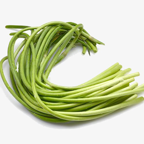 单县河滩村荠荠菜丰收了