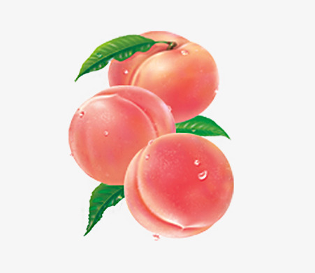 桃子透明素材图片粉色水果桃属植物卡通手绘水蜜桃