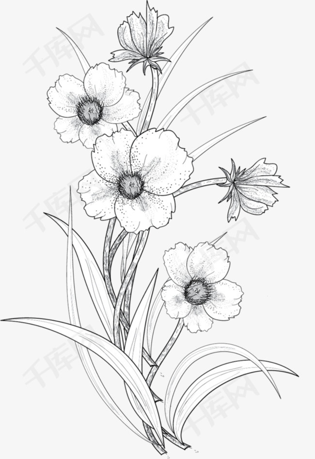 素描盆栽花朵图案