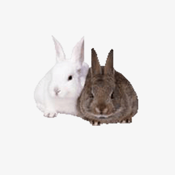 3fcf1bb29db47b1ef853a577609c2ea0.jpg
