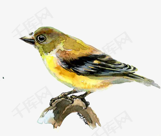 小鸟图片大全高清图片 6caf1ddc6f90ca0243ec5f70f05bb312.jpg!r650