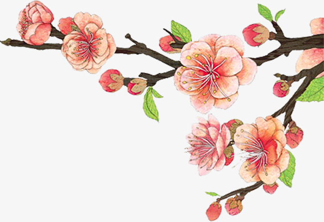 绘画桃花图层