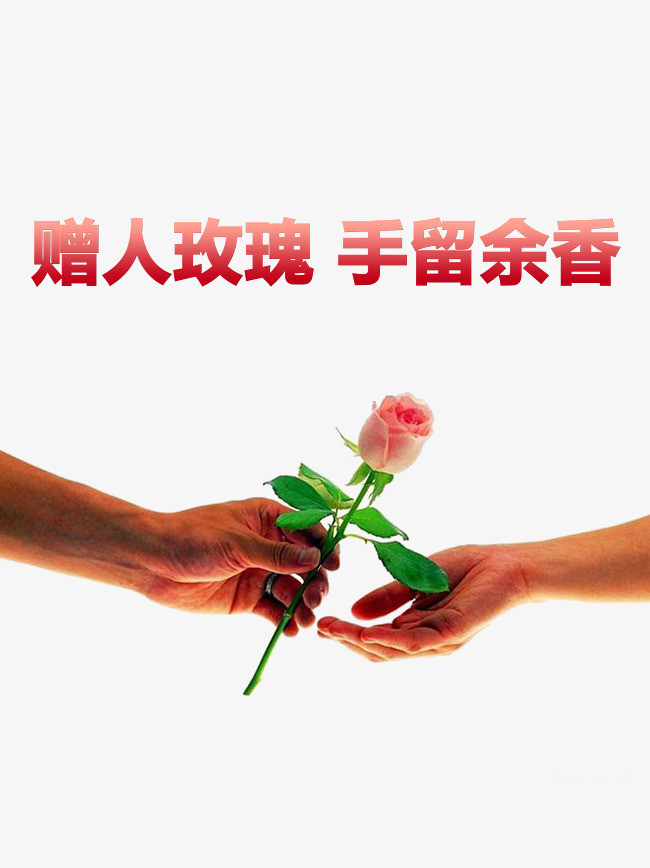 赠人玫瑰 手有余香_不堪盈ying手赠_玫瑰余香 原画
