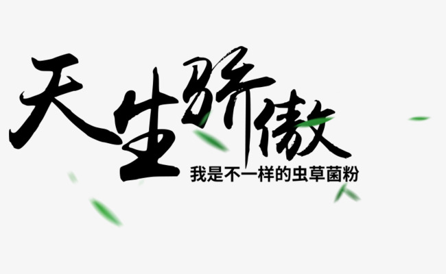 天生骄傲艺术字
