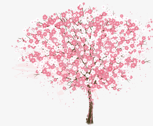 手绘y樱花树