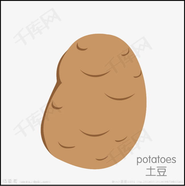 土豆手绘矢量图
