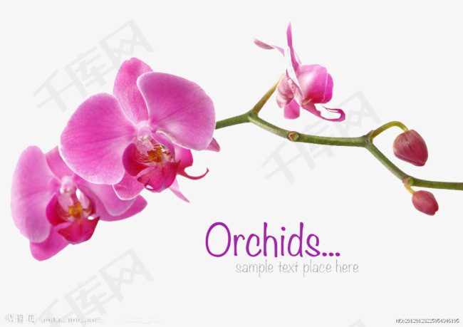 75bd4c3d5680a324ad3fff7b1f7346e6.jpg!r650