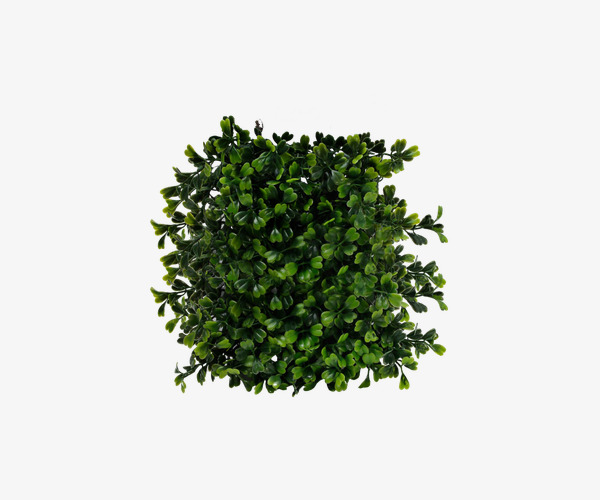 灌木丛手绘素材0