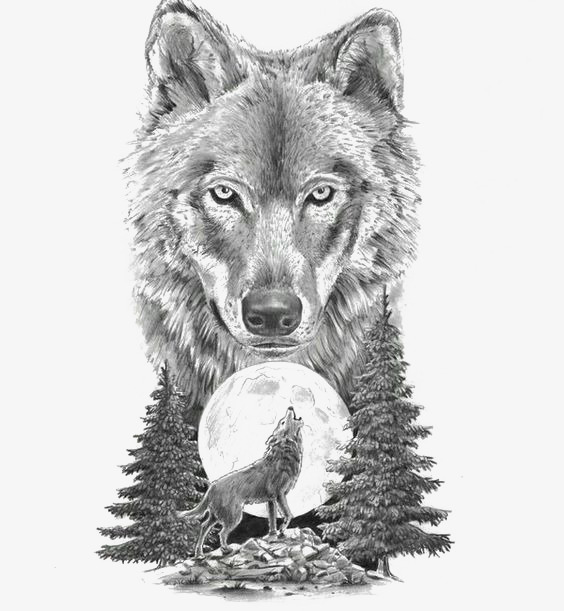 动物服装装扮狼插画
