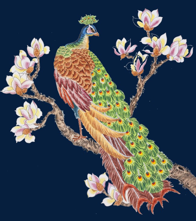 手绘孔雀