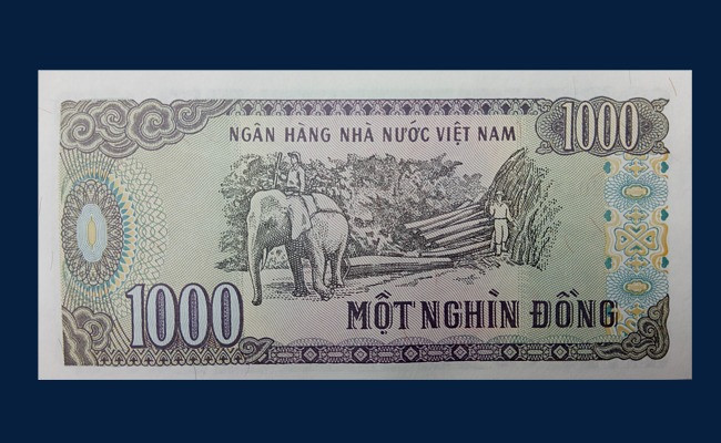 1000越南盾