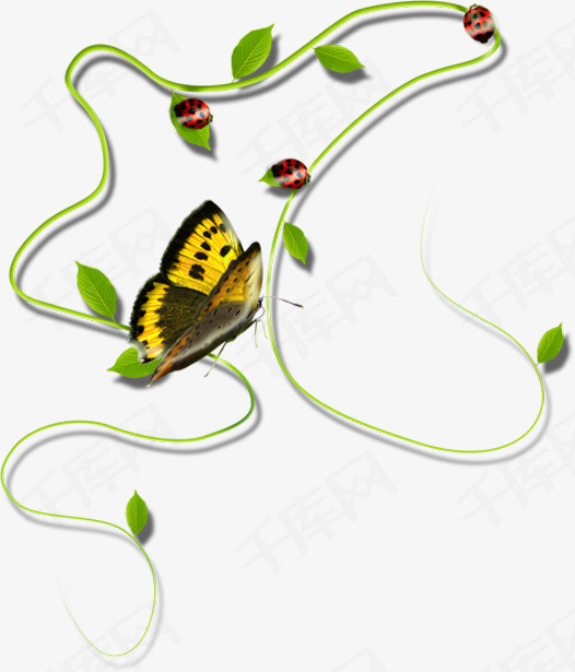 花蝴蝶事件处理结果 ec9bb97d82b19cbdfe716013e08d9a99.jpg!rw400