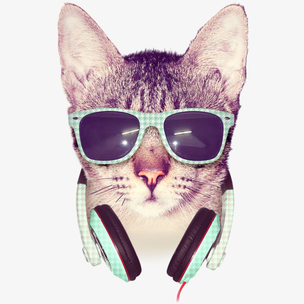 酷酷的猫素材图片免费下载_高清装饰图案png