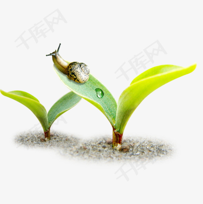 萌芽,萌芽杂志