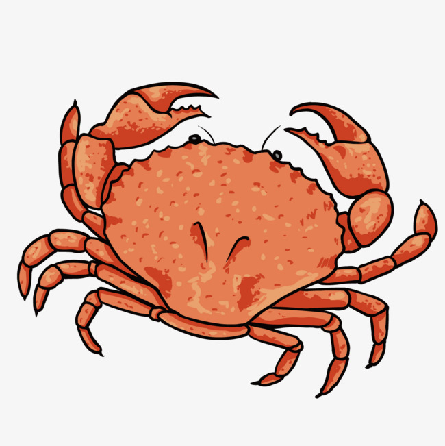 可爱卡通手绘插画黄色沙滩螃蟹png