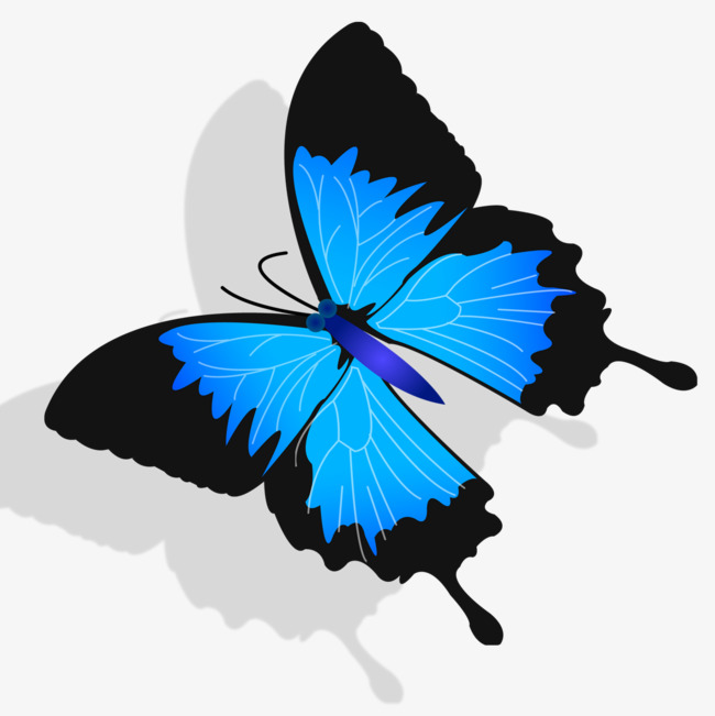 《蓝色蝴蝶》-[coat] Precious Haruma.rmvb