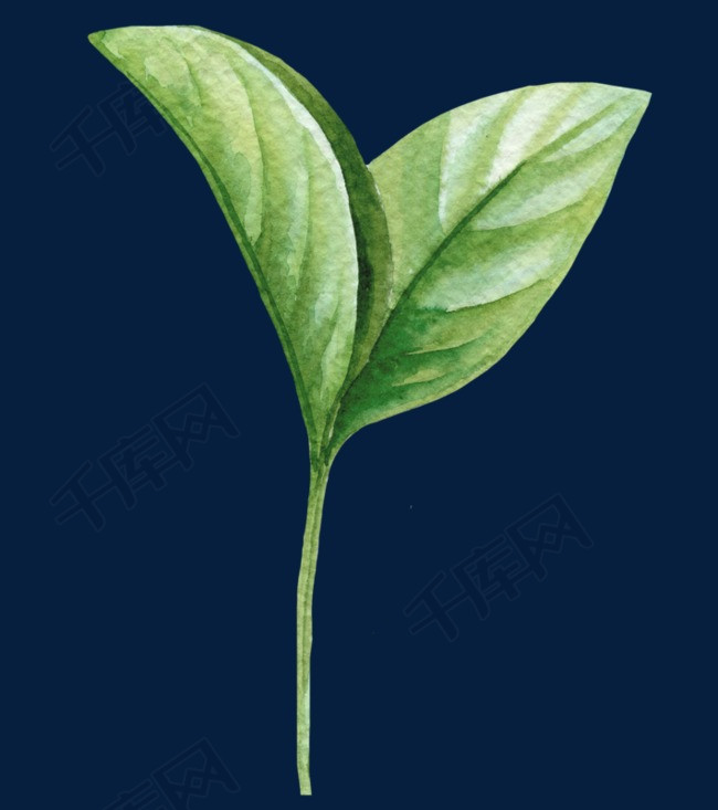 2d94f63842e82d04a06c71bf479e4382.jpg!r650