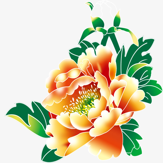 黑板手绘牡丹花