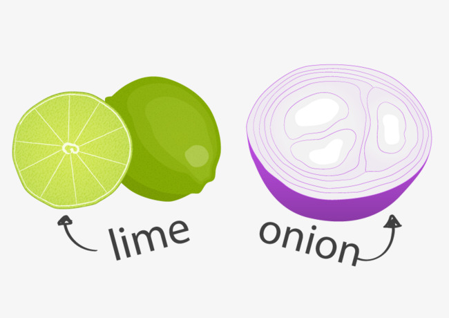 水果橙子洋葱英文素材图片免费下载_高清psd