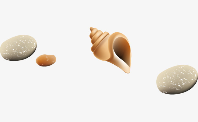 海螺png矢量素材图片免费下载_高清卡通手绘