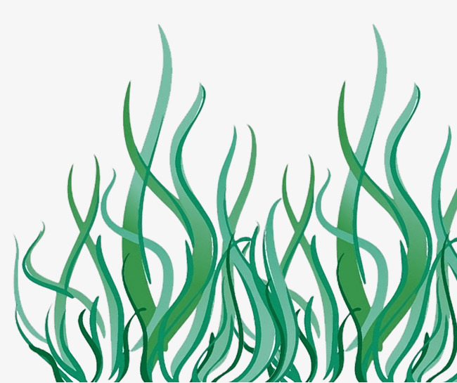 图片 卡通背景 > 【png】 卡通水草 分类:手绘动漫 类目:其他 格式