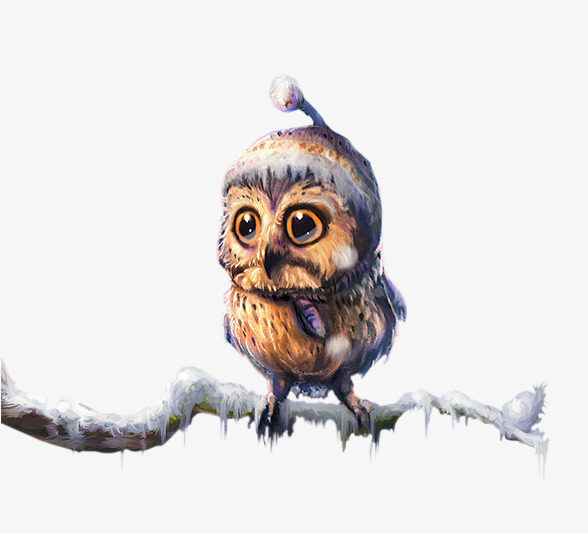 戴帽子的猫头鹰素材图片免费下载_高清卡通手