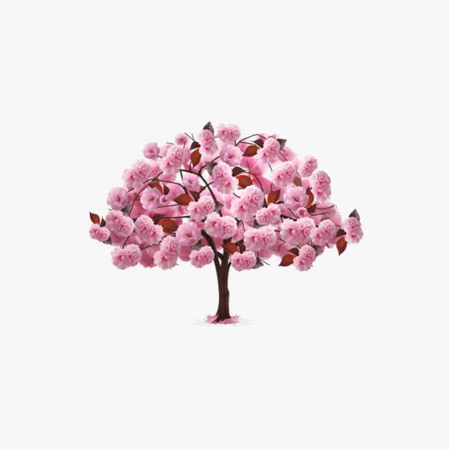 一株粉色花树