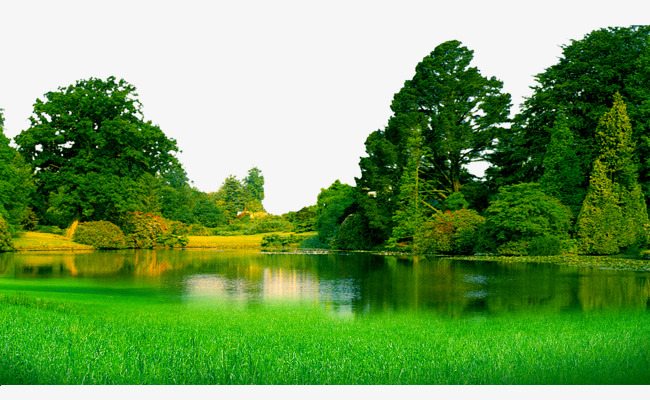 湖水绿草树木绿色风景