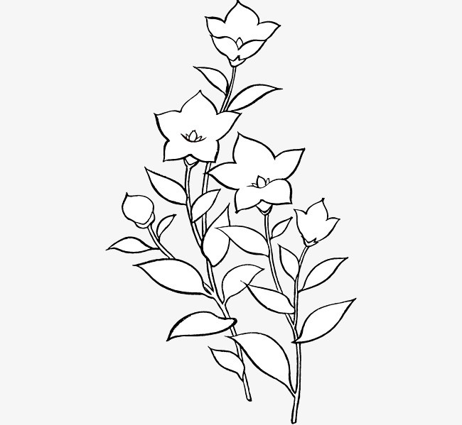 简笔线条的花
