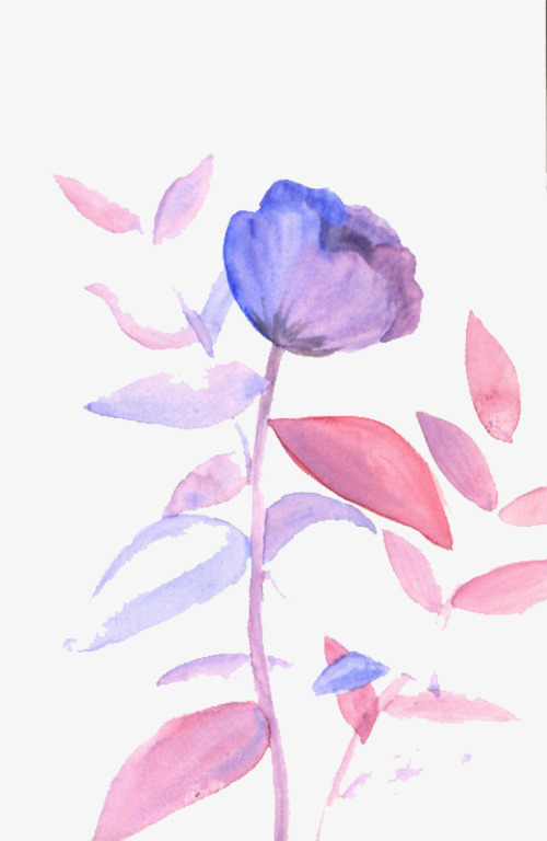 紫色玫瑰素材图片免费下载_高清psd