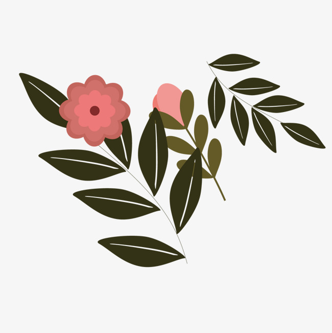 绿叶花朵图片