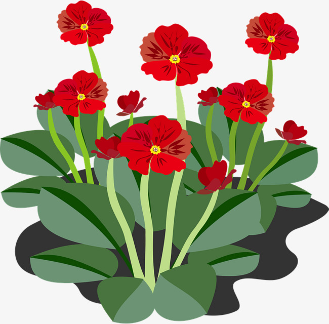 绿叶花朵图片