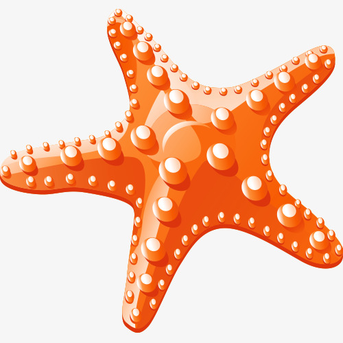 卡通海星素材图片免费下载_高清图片pngpsd