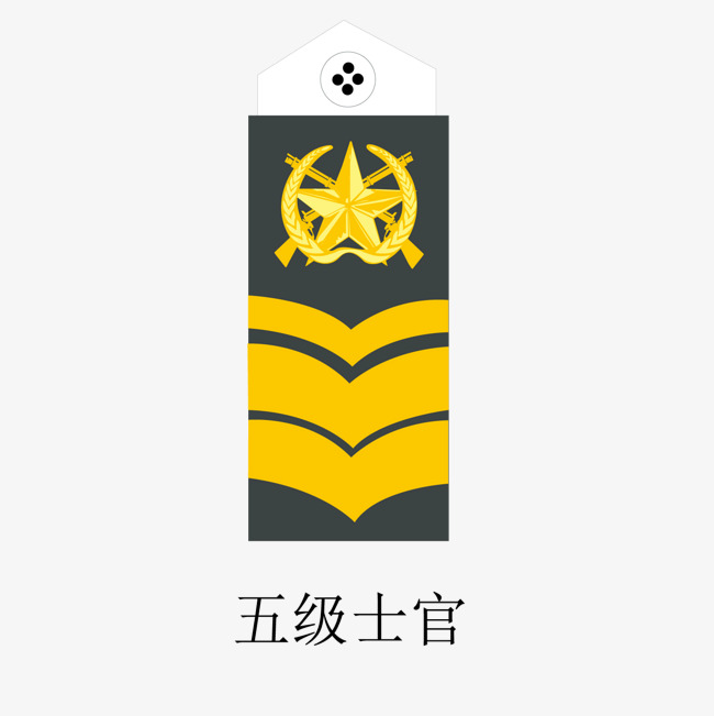 军队五级士官矢量肩章素材图片免费下载_高清