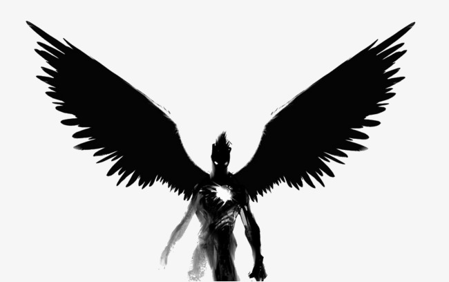 黑翅膀 黑翅膀天使叫什么_黑翅膀的寓意