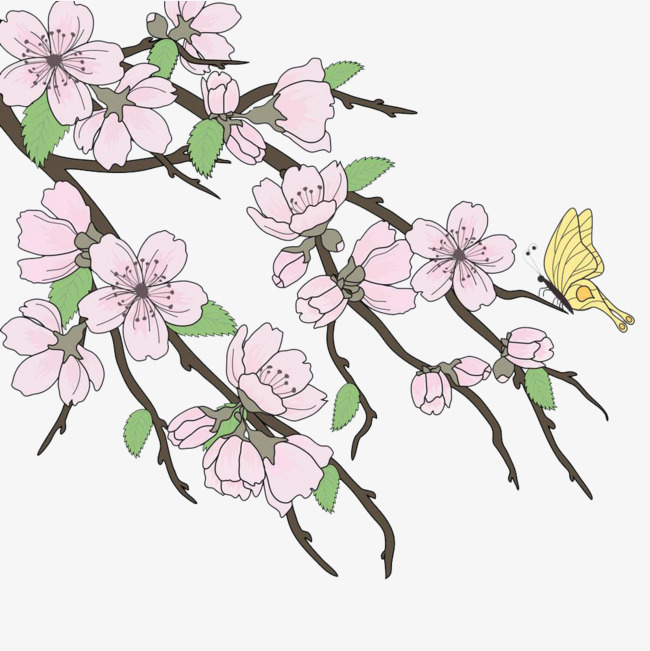 日本樱花
