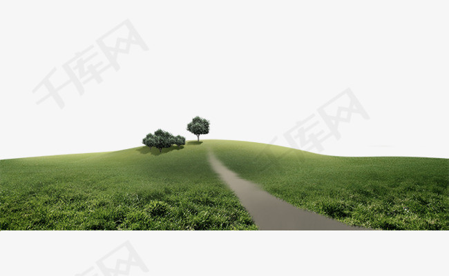 绿色草坪草地绿色小路大树