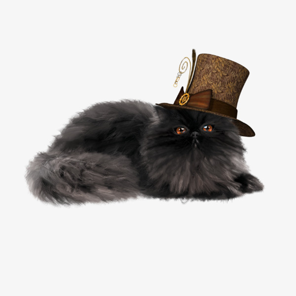 戴帽子的猫咪素材图片免费下载_高清产品实物
