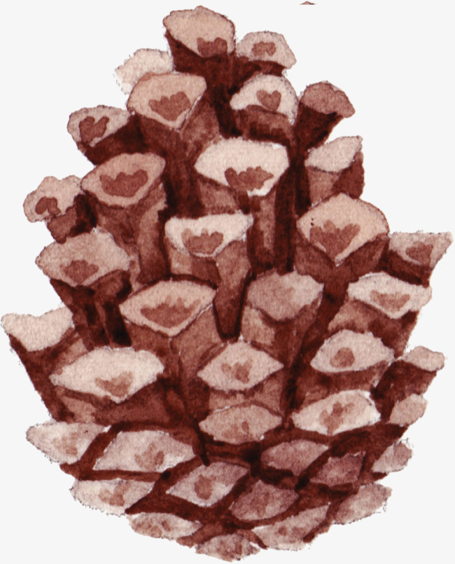 漂亮手绘松果免抠素材图片免费下载_高清卡通