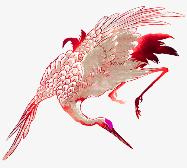 a8ff88f6312470e594b9bde247e6ec66.jpg