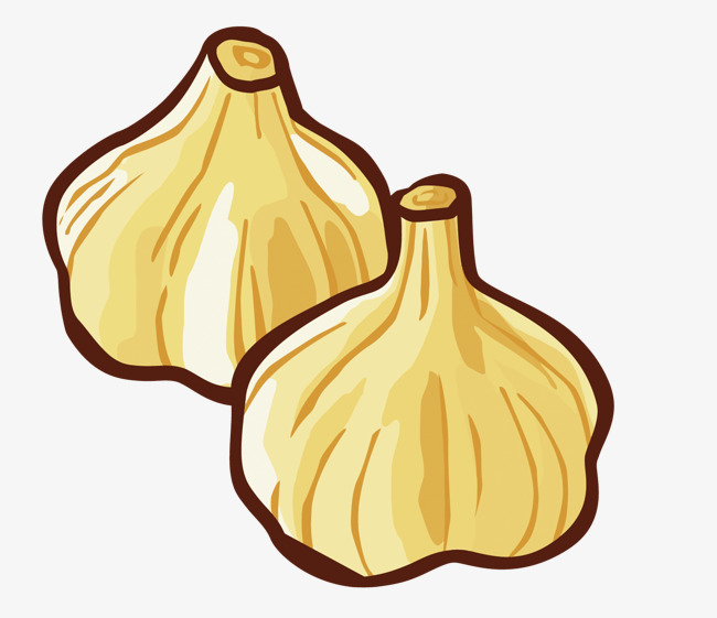 矢量扁平化大蒜素材图片免费下载_高清卡通手