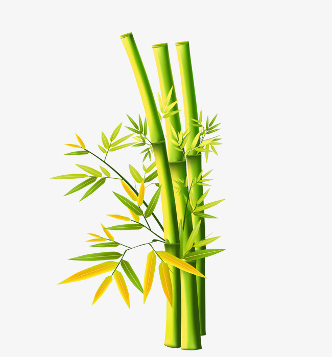 卡通绿色竹子装饰植物插画春天春季元素