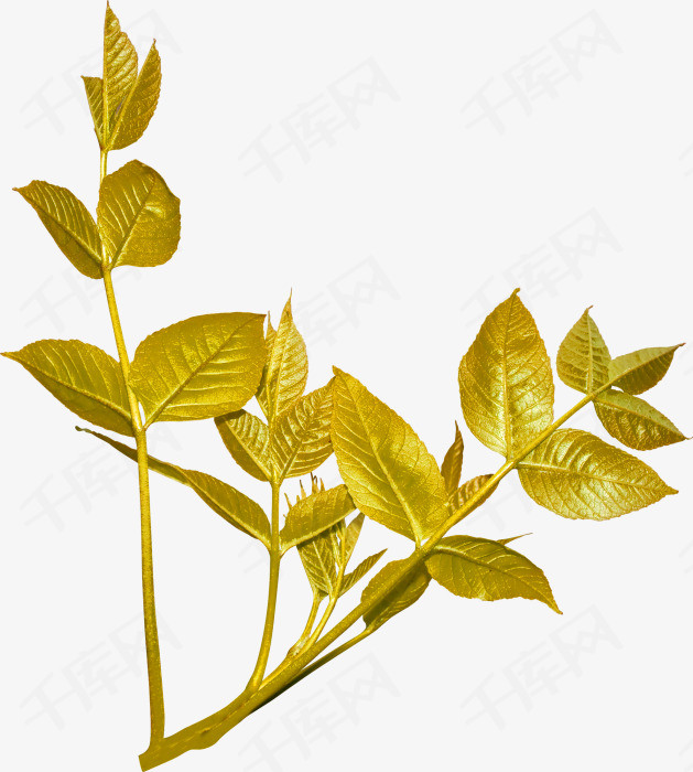 绿叶子装饰图片大全 9558b6321438de0dc6f3f32b5464a196.jpg!rw400