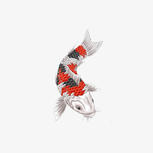 日系日本风和风鲤鱼旗樱花红色招财猫背景图组图