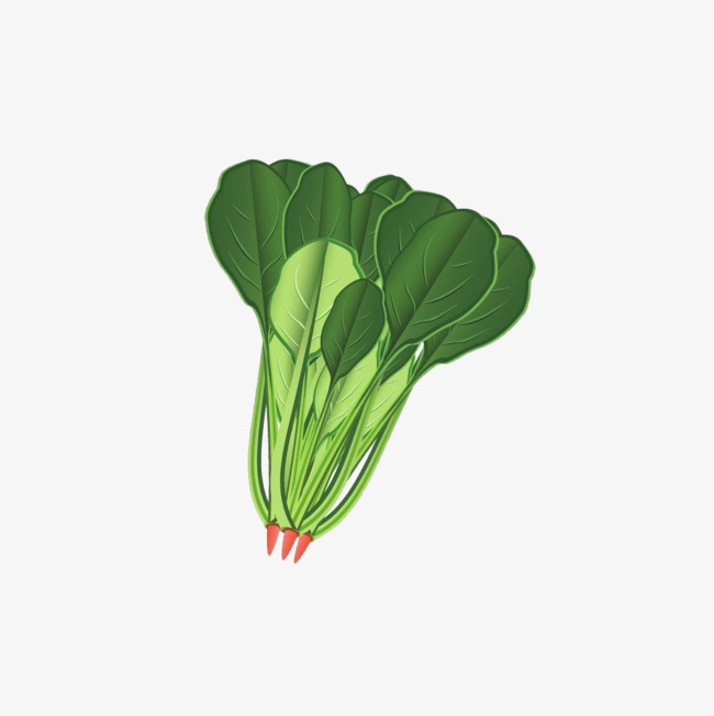 绿色菠菜素材图片免费下载_高清卡通手绘png_千库网