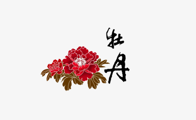 牡丹花和字体
